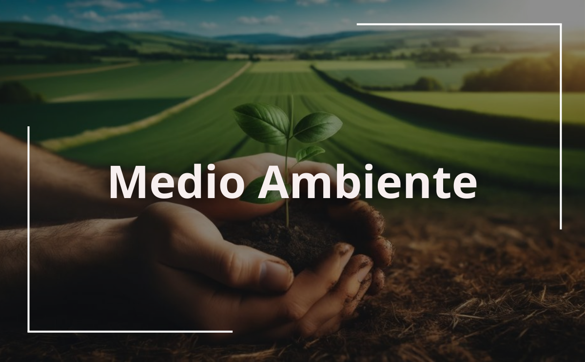 Medio Ambiente Medio Ambiente